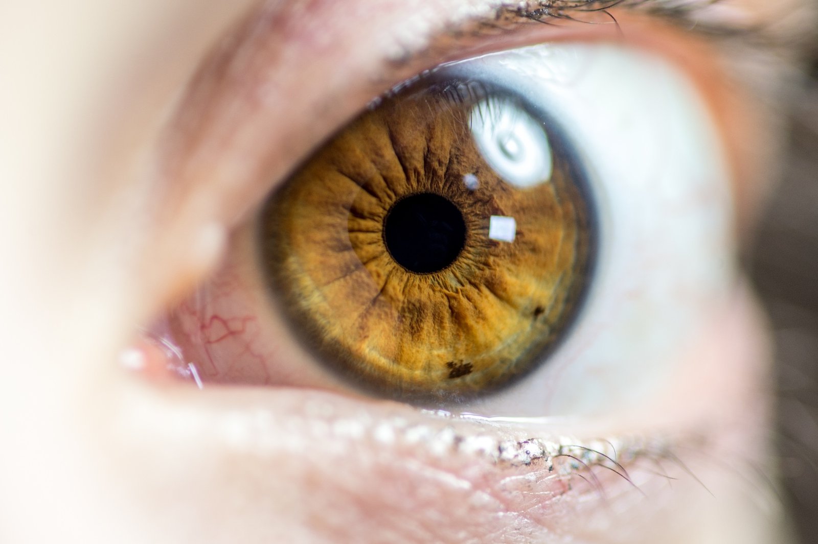 Close up of female eye, golden colored eyes, iris