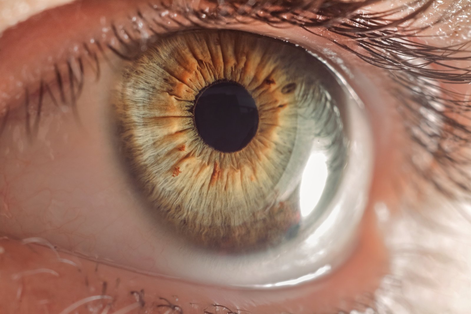 macro eye