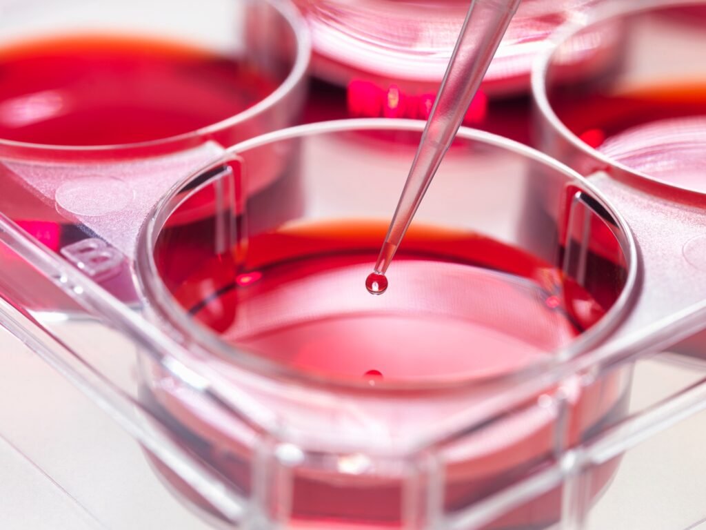 MSC Cell Regeneration